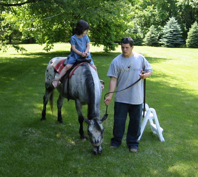 Pony Rides By Donna photo 30