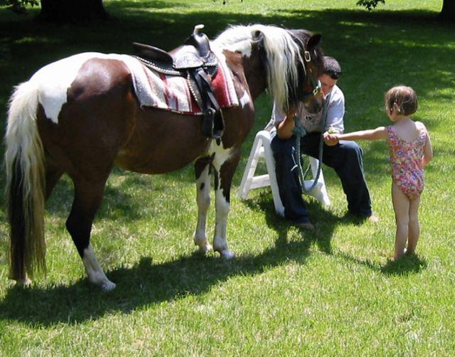 Pony Rides By Donna photo 34