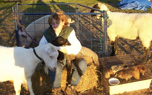 Pony Rides By Donna photo 22