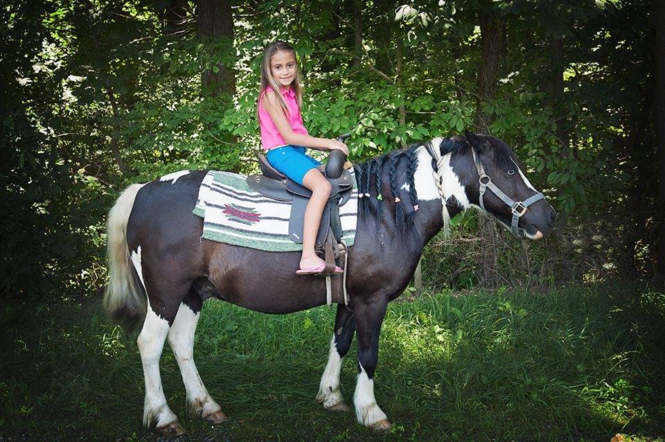 Pony Rides By Donna photo 19