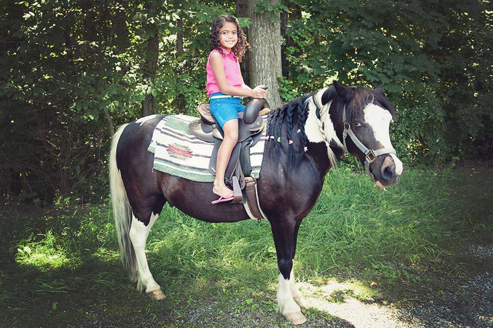 Pony Rides By Donna photo 20